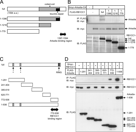 FIGURE 2.