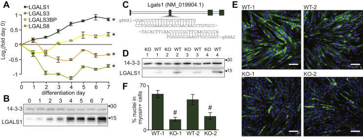 Fig. 4