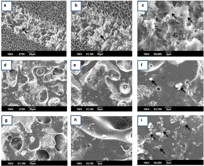 Fig. 8