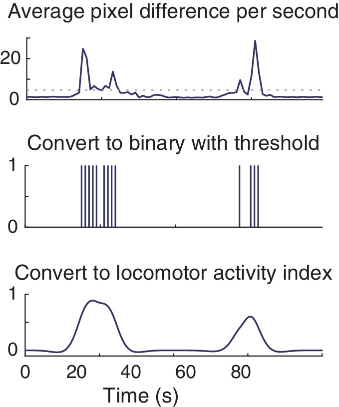 Figure 3—figure supplement 1.