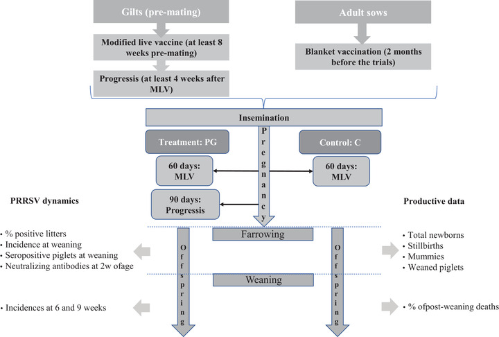 FIGURE 1