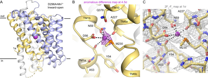 Figure 3—figure supplement 1.