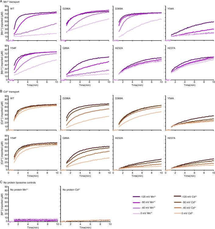 Figure 1—figure supplement 4.