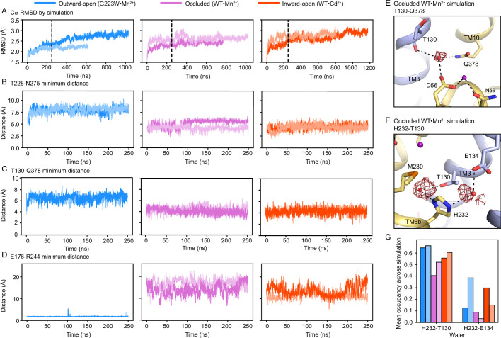 Figure 4—figure supplement 2.