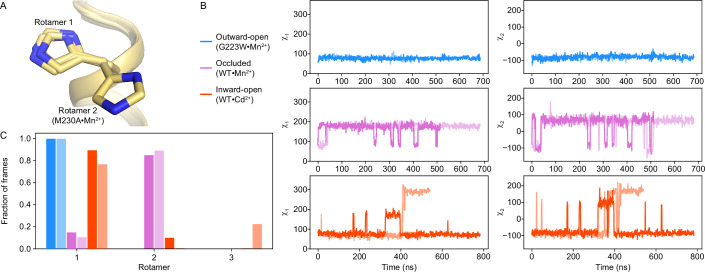 Figure 4—figure supplement 3.