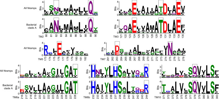 Figure 4—figure supplement 1.