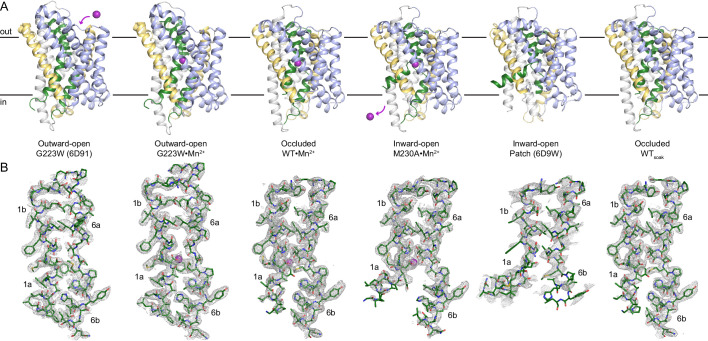 Figure 2—figure supplement 2.