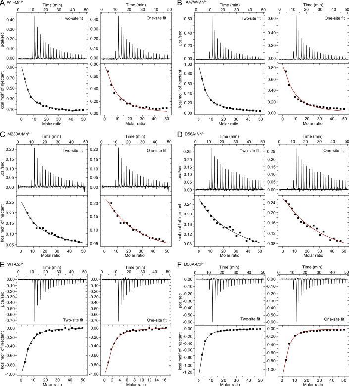 Appendix 1—figure 1.