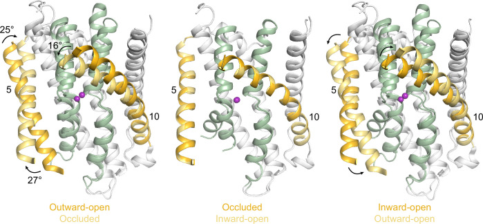 Figure 2—figure supplement 1.