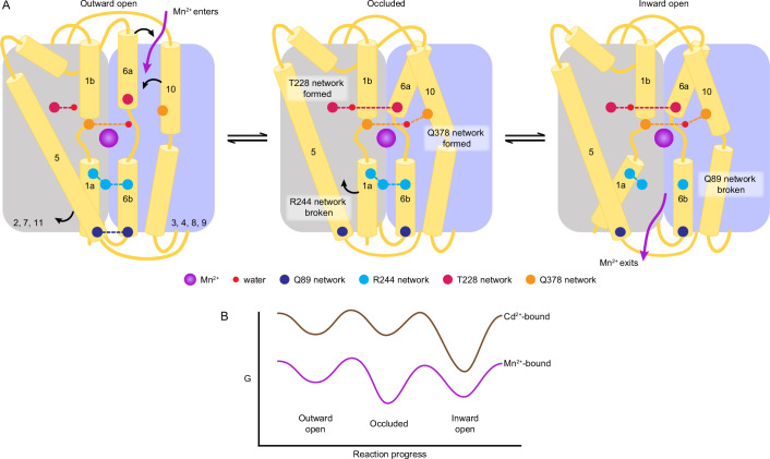 Figure 6.