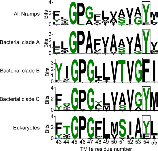 Figure 3—figure supplement 3.