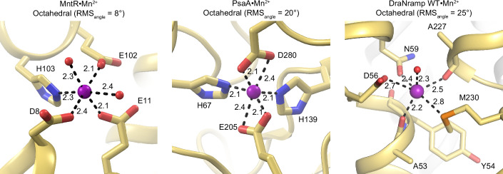 Figure 6—figure supplement 1.