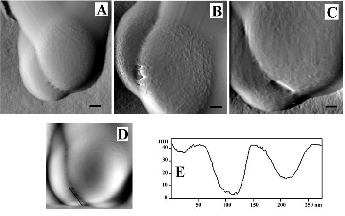 FIG. 8.