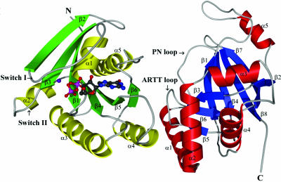 Fig. 1.