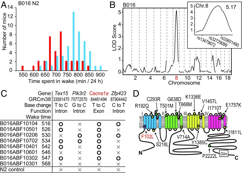 Fig. 4.