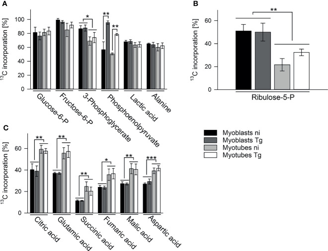 Figure 3