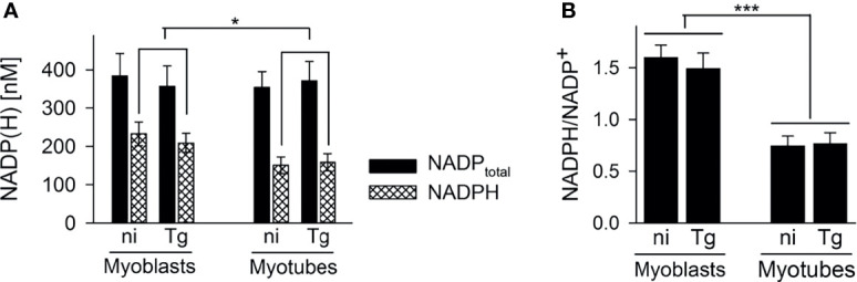 Figure 4