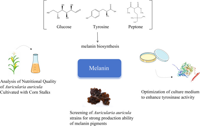 Fig. 2