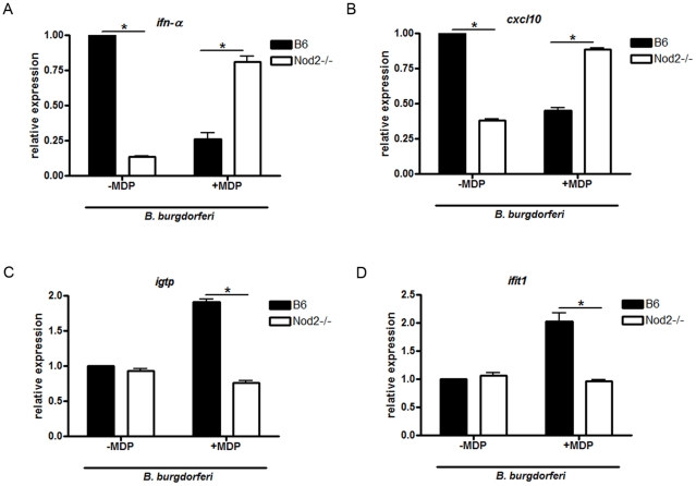 Figure 11