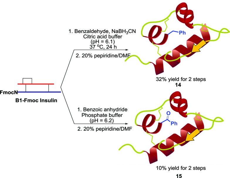 Scheme 5