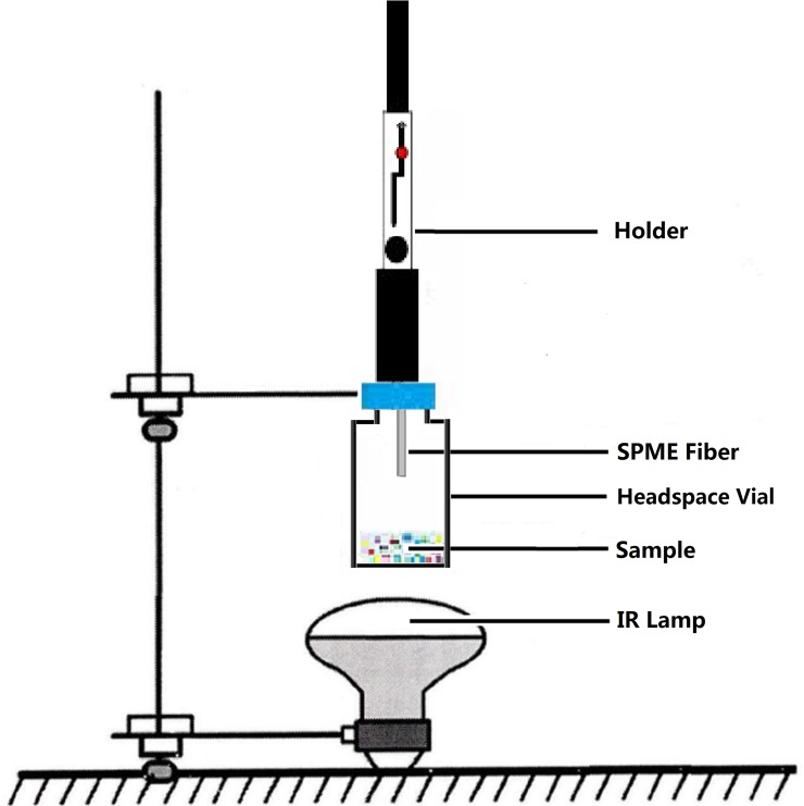 Fig 1