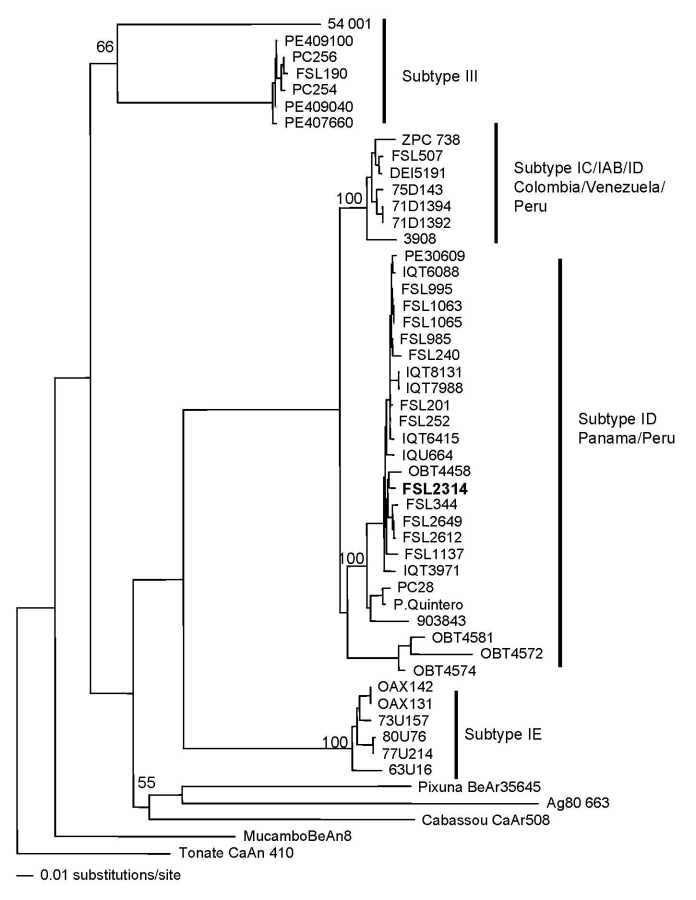 Figure 2