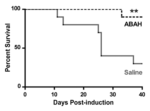 Figure 5d: