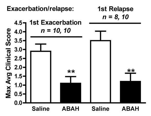 Figure 5b: