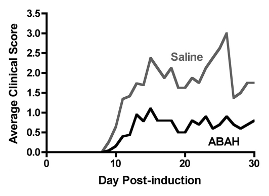 Figure 5a: