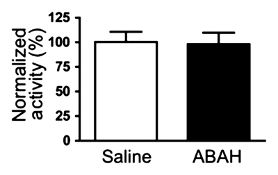 Figure 3b: