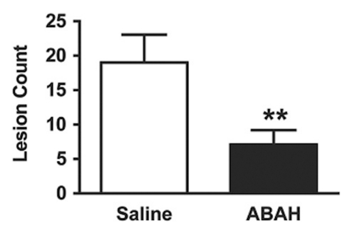 Figure 2d: