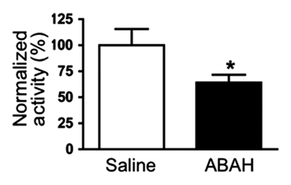 Figure 3a: