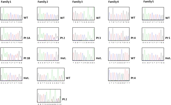 Supplementary Fig. 1