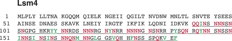 Figure 1—figure supplement 1.