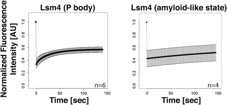 Figure 2—figure supplement 1.