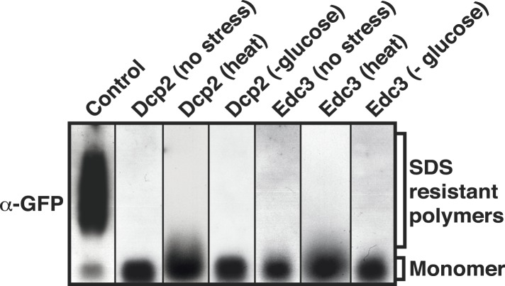 Figure 2—figure supplement 2.