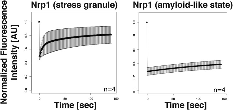 Figure 4—figure supplement 3.