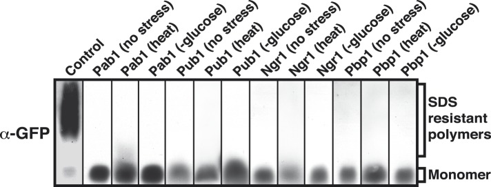 Figure 4—figure supplement 4.