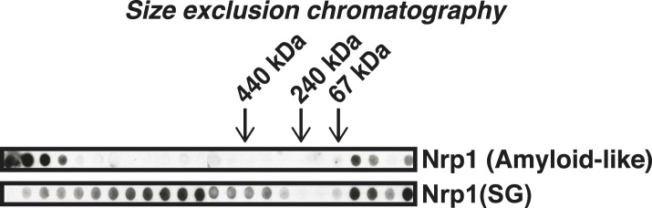 Figure 4—figure supplement 2.