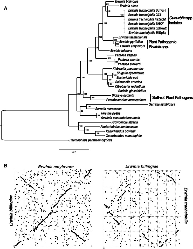 Fig. 2.—