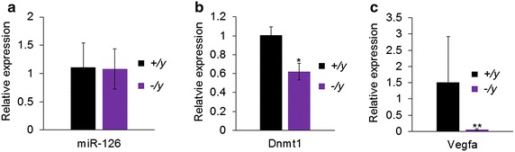 Fig. 7