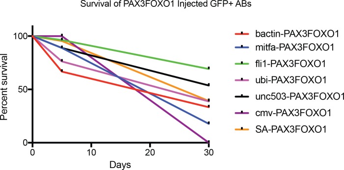 Figure 1—figure supplement 1.