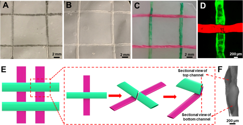 Figure 3.