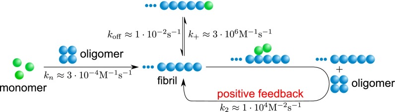 Fig. 5.