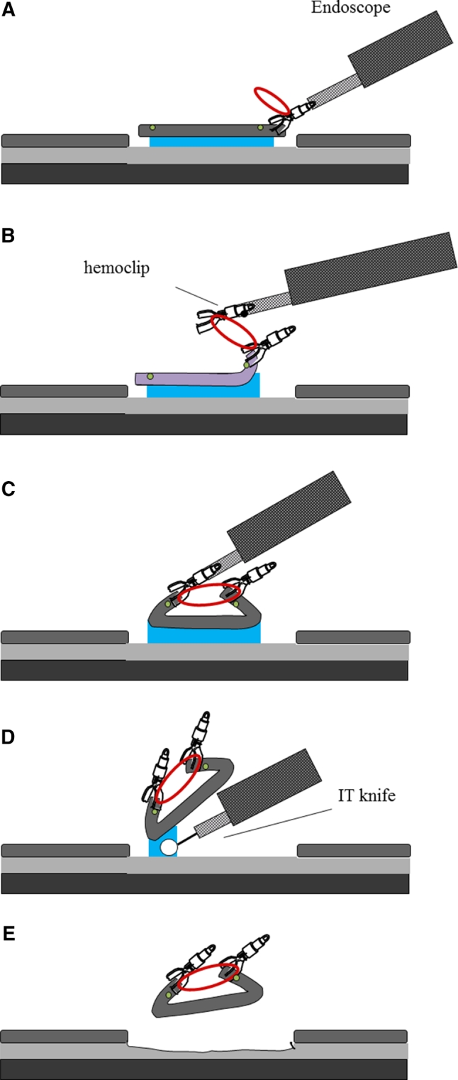 Fig. 3