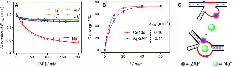 Figure 5.