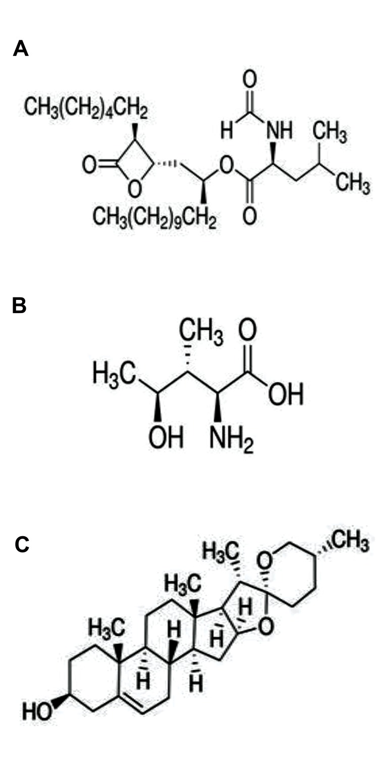 Fig.1