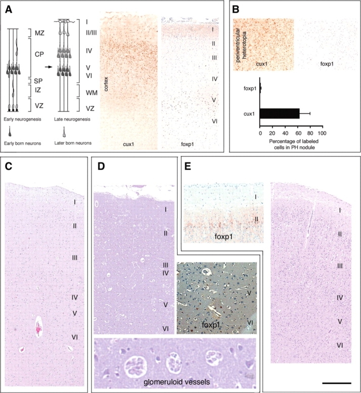 Figure 2.