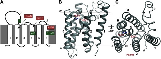 FIGURE 1.