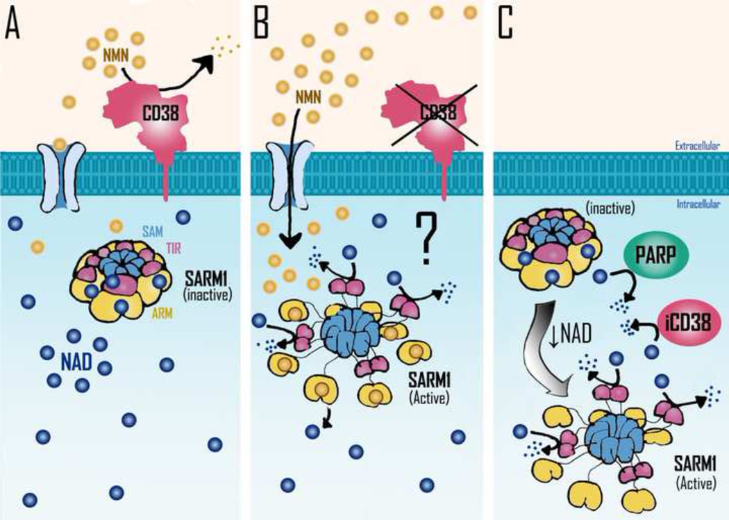 Figure 2.